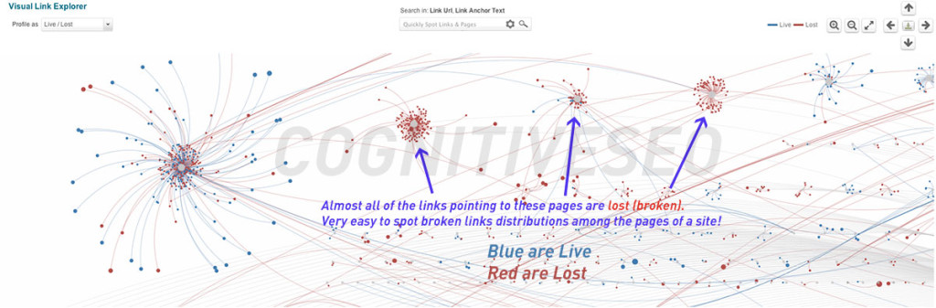 cognitive SEO Visual Link Explorer