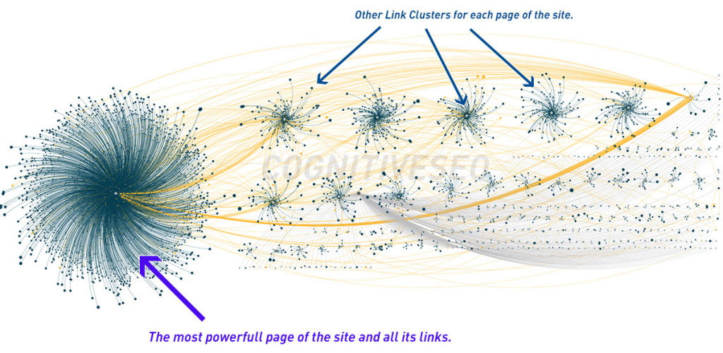 Backlink-Profiles help seo