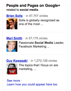 Google + Social Media sidebar capture